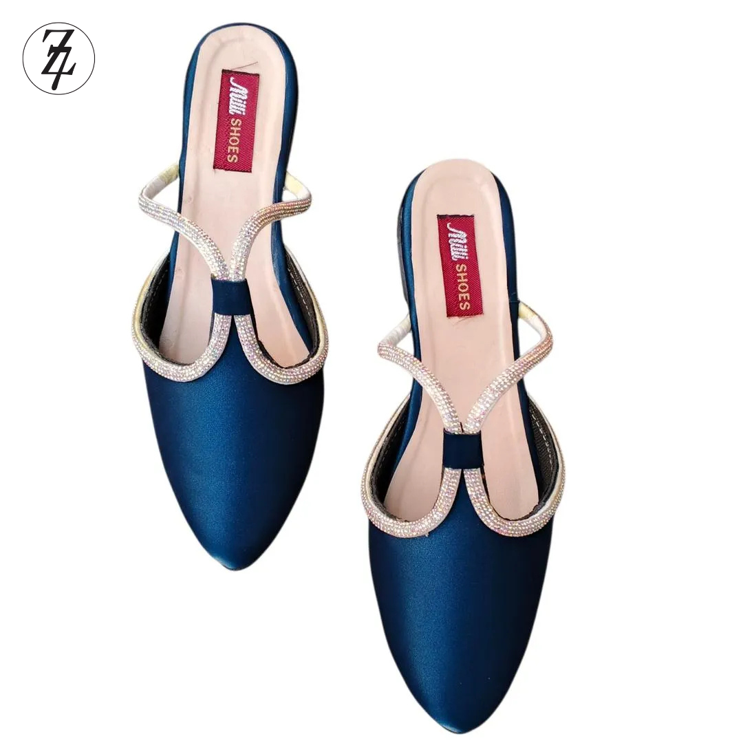 Women's Synthetic Leather Fancy Flats shoes